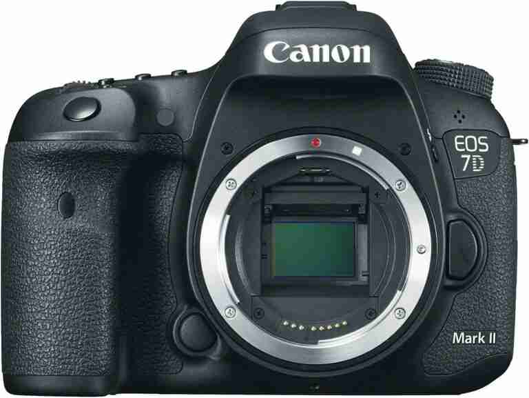 Best Cameras For Nature Photography