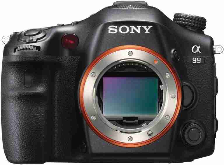 best cameras for bird photography