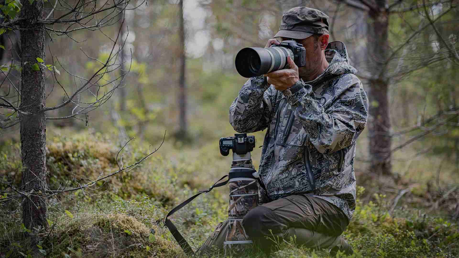 Best Camera For Wildlife Photography