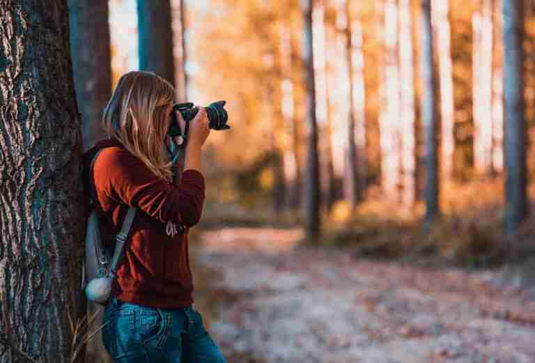 Best Cameras For Hobby Photography