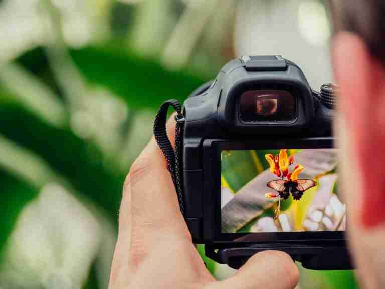 cameras for photography under $300